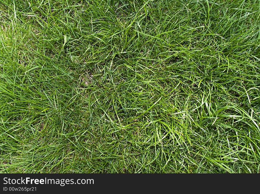 Green grass background