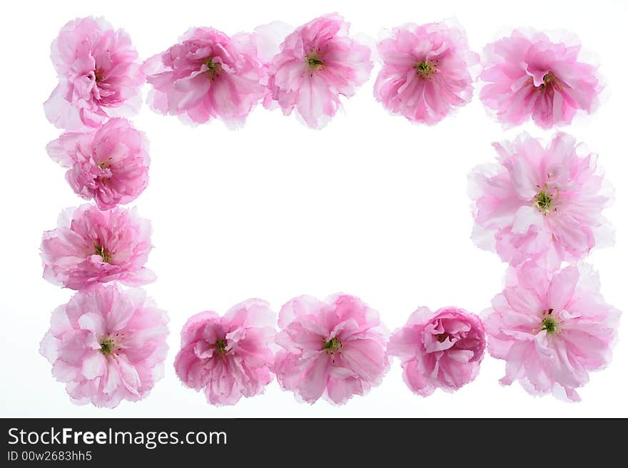 Floral frame with space for your text