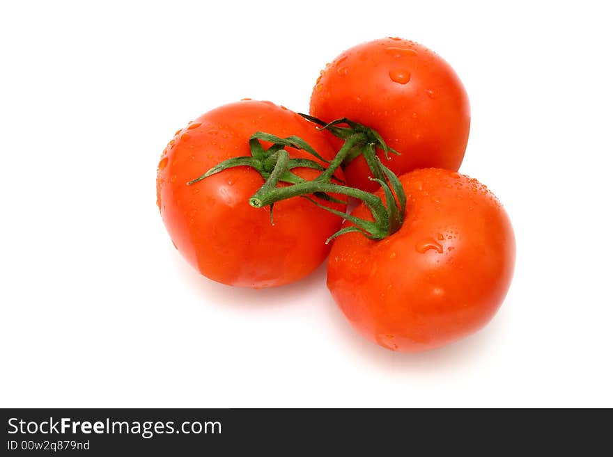 Three fresh and juicy tomatoes with water drops on it