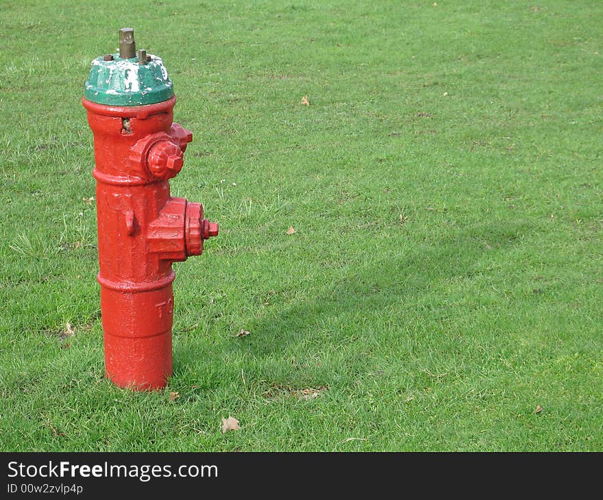 Red fire hydrant on green grass