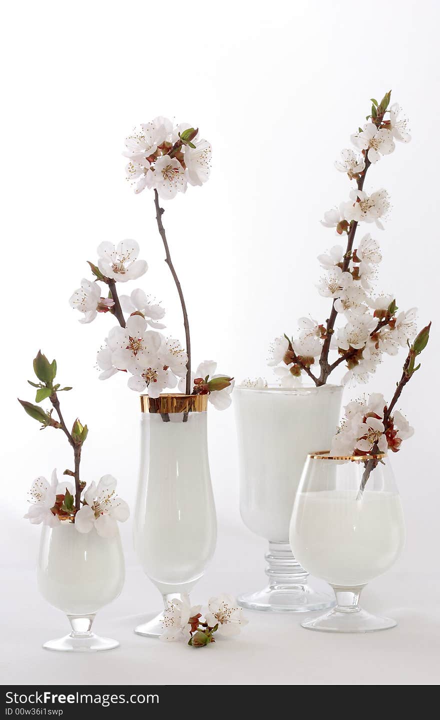 Branch cup flower glass goblet leaf life milk shoot sprig spring still twig white