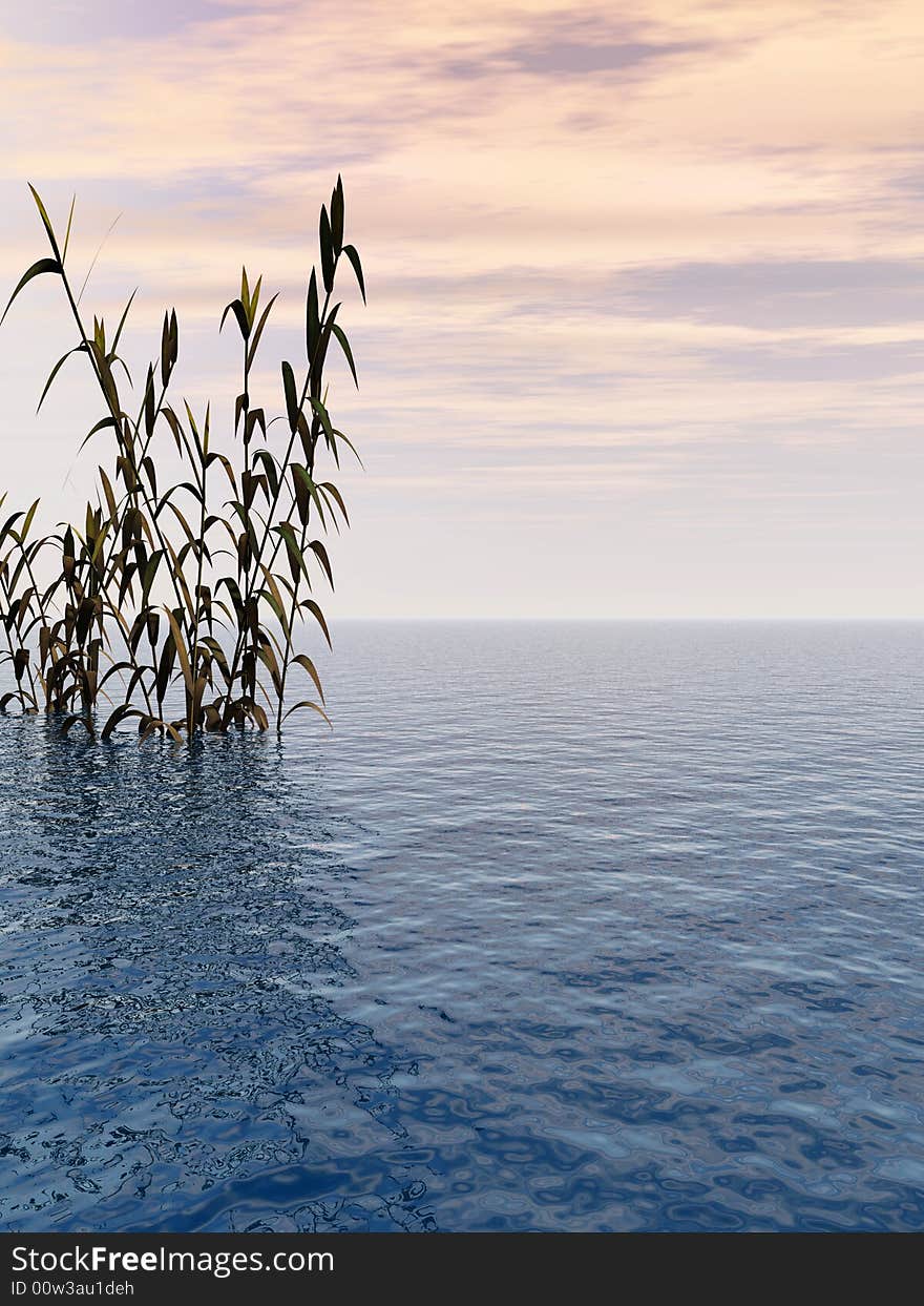 Water plants on a sea sunset  background  -  3D scene. Water plants on a sea sunset  background  -  3D scene.