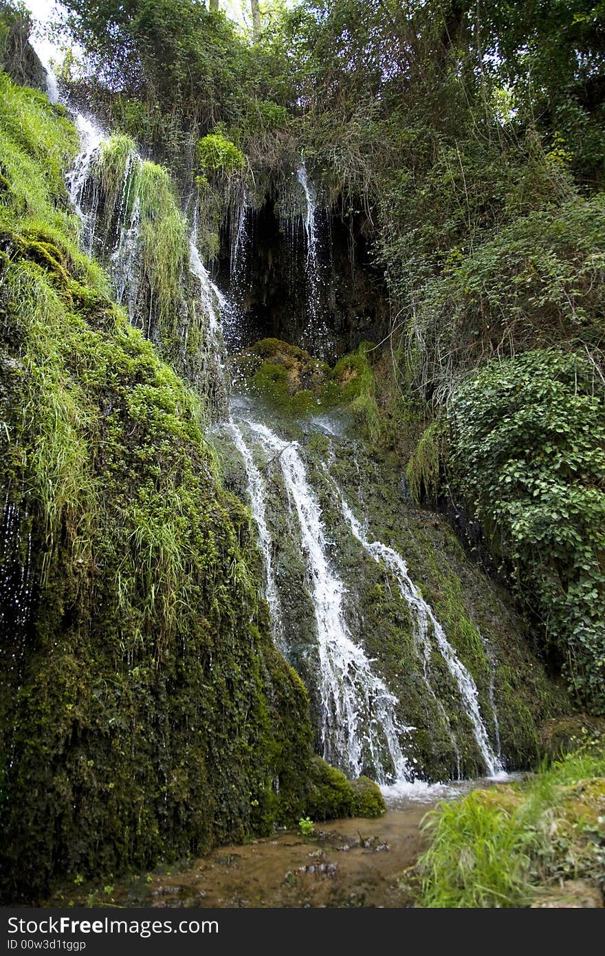 Waterfall and plants