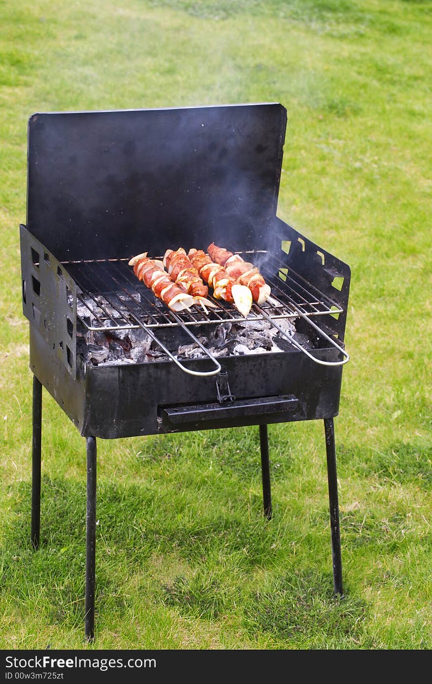 Barbecue in the garden   summer