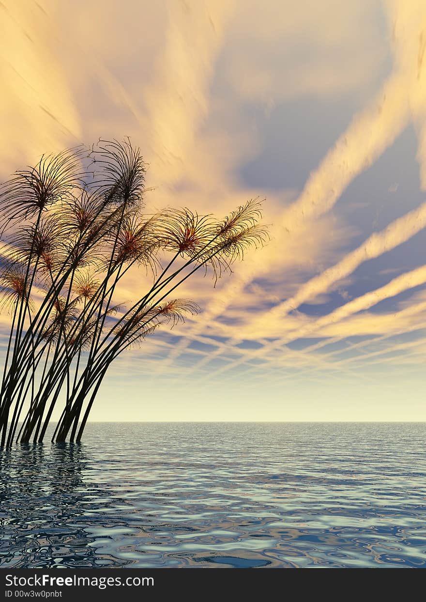 Water plants on a sea sunset  background  -  3D scene. Water plants on a sea sunset  background  -  3D scene.