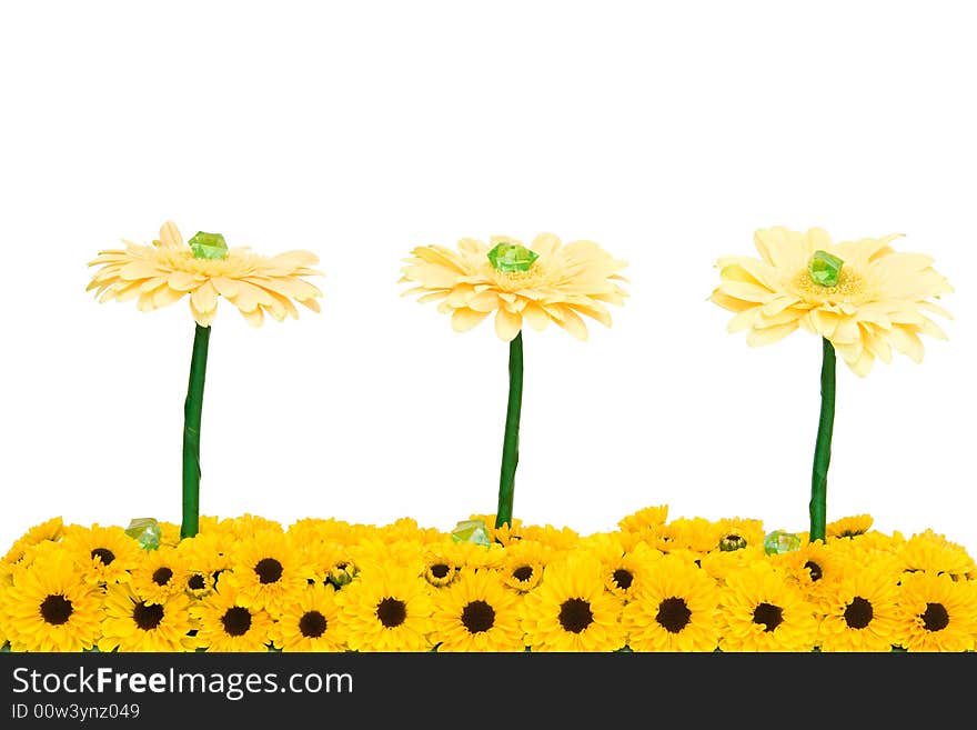 Yellow chrysanthemum decoration