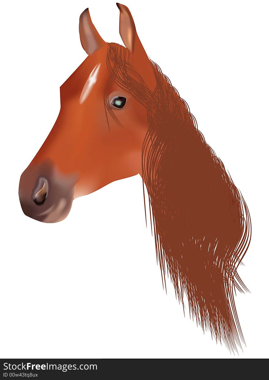 Horse