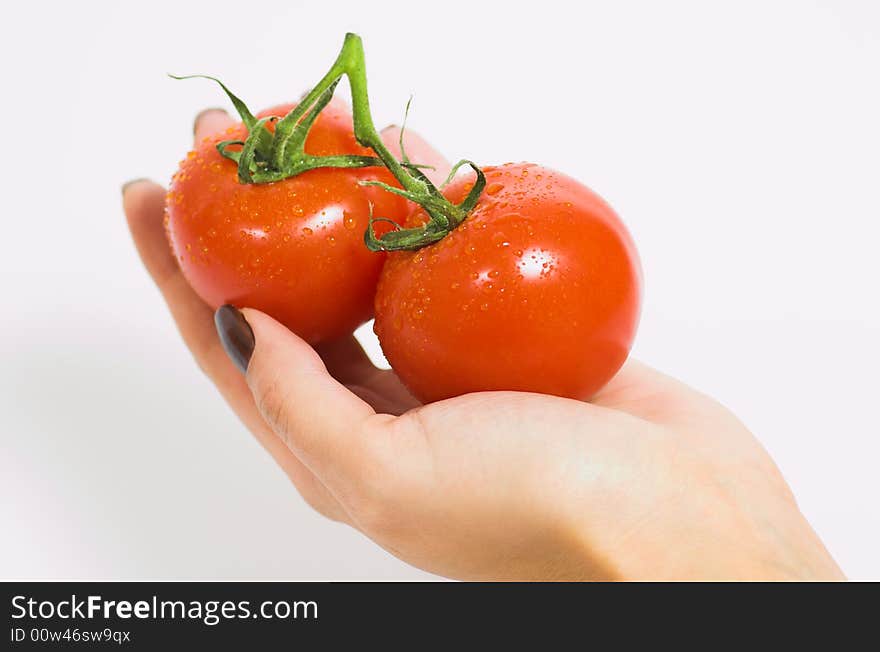 Female hand and two fresh tomatoes. Female hand and two fresh tomatoes