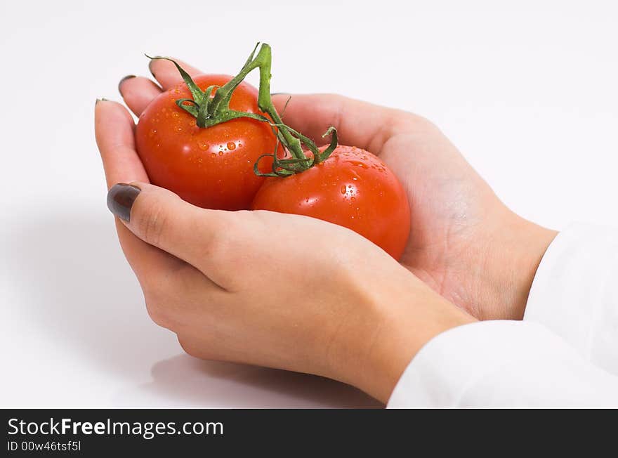 Female hands and two fresh tomatoes. Female hands and two fresh tomatoes