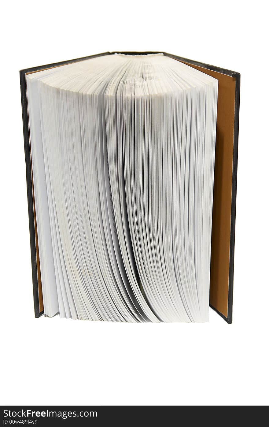 Image of big open book on white background