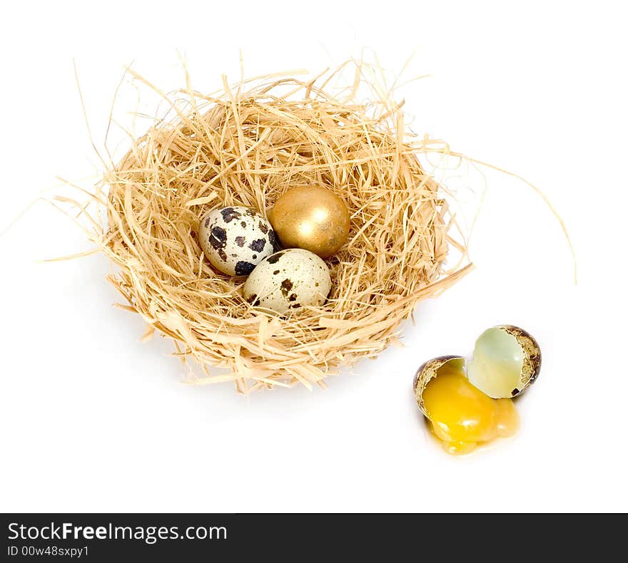 Broken egg and bird nest with golden egg between the bird eggs