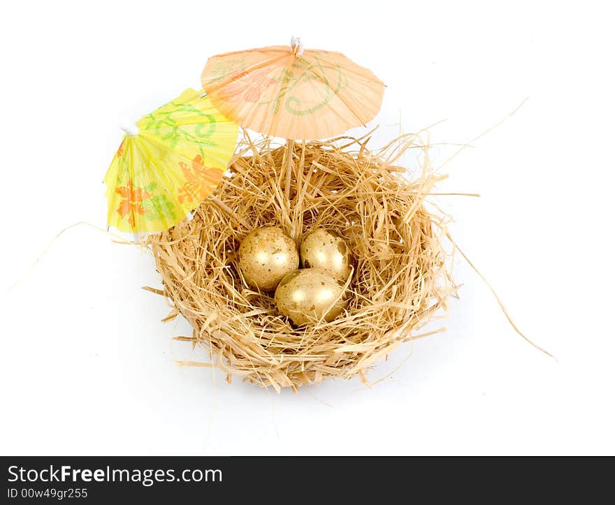 Nest with golden eggs