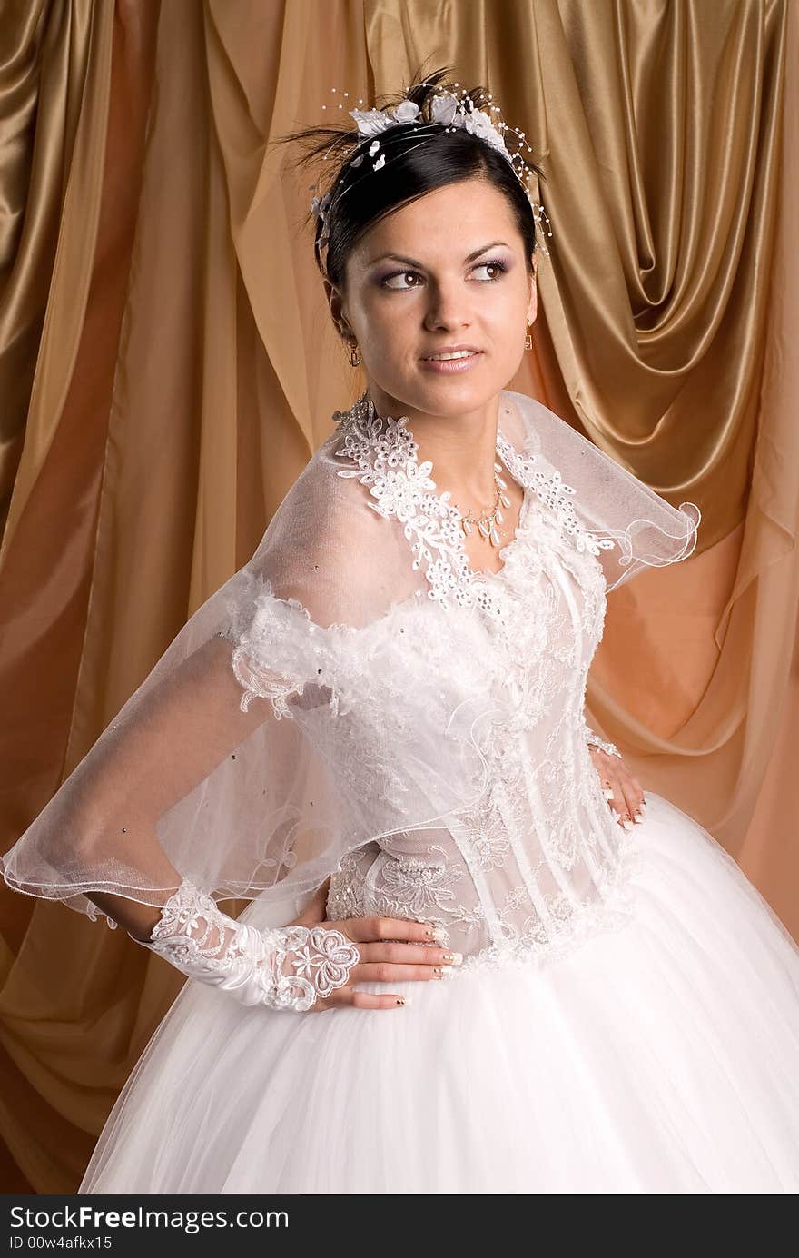 The bride in a wedding dress on beautiful background. The bride in a wedding dress on beautiful background