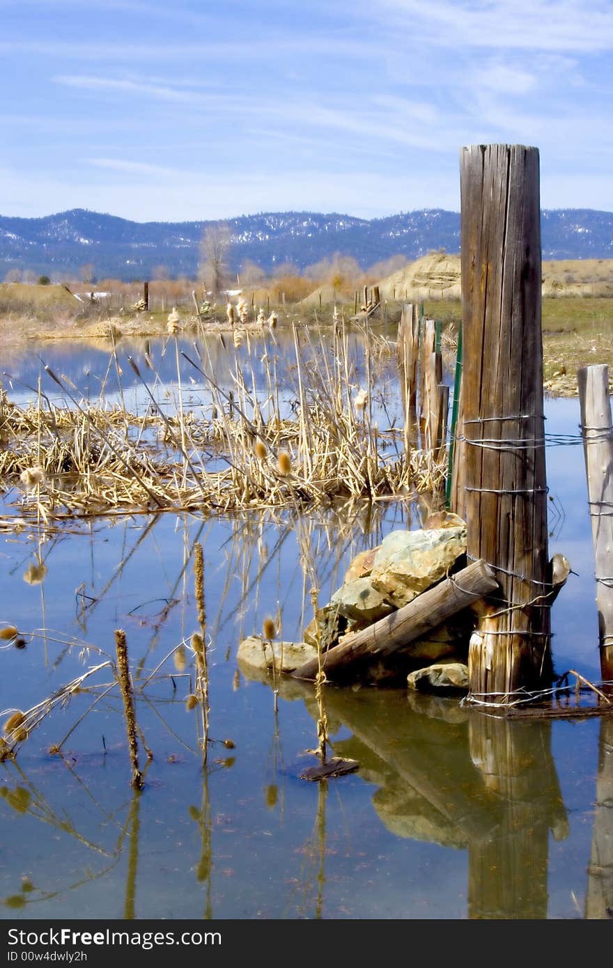 An old wooden fencepost sits amidst water and dry plants in the winter. An old wooden fencepost sits amidst water and dry plants in the winter.