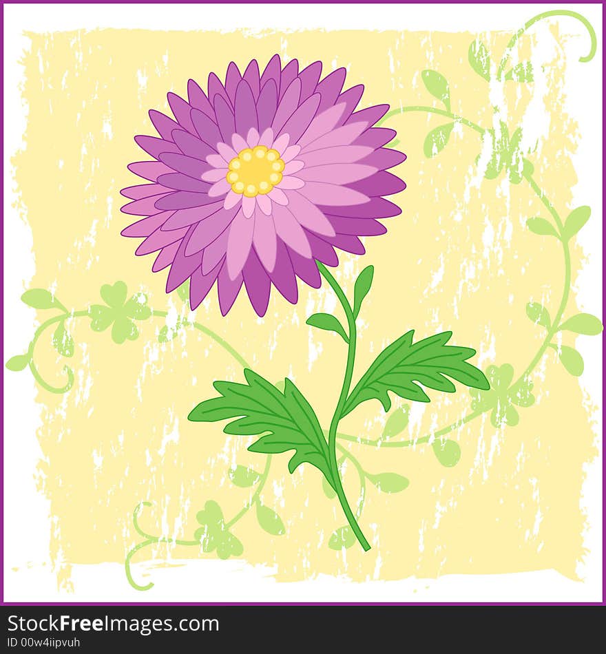 An Elegant Daisy on the Grunge Background