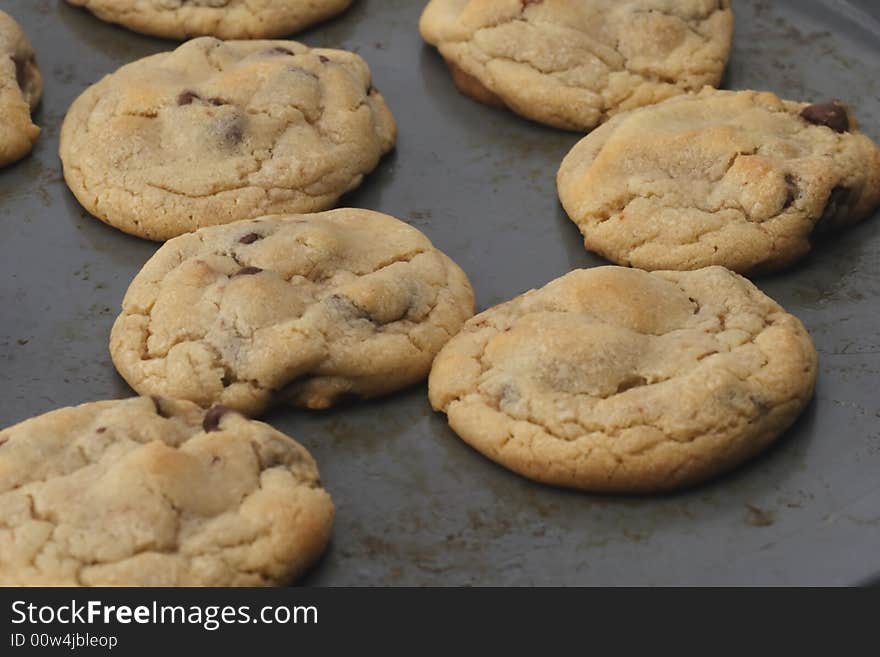 Chocolate Chip Cookies