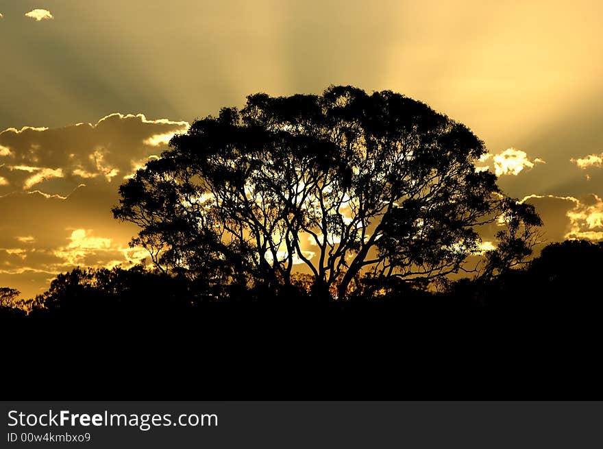 Image taken of a sunset on the gold coast australia