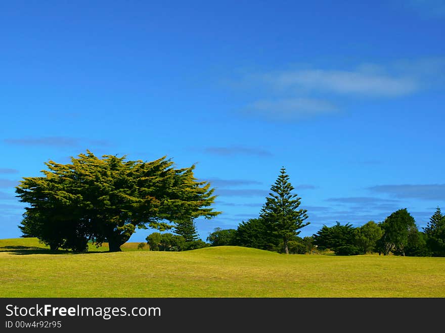 Beautiful country landscape with bright blue sky and green grass and trees. Beautiful country landscape with bright blue sky and green grass and trees