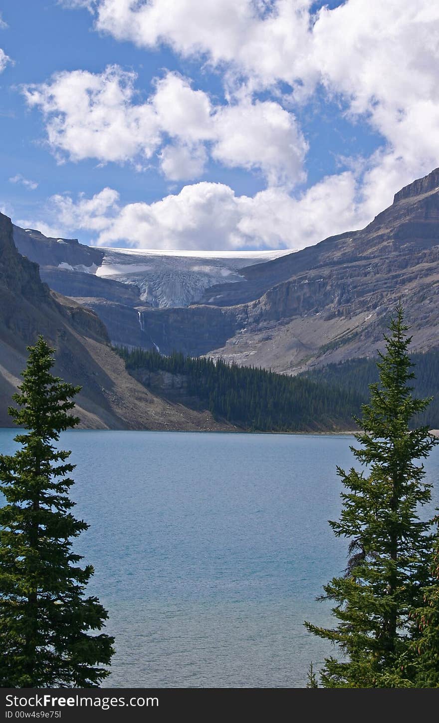 A pair of trees framing distant Bow Glacier and Bow Glacier Falls. A pair of trees framing distant Bow Glacier and Bow Glacier Falls