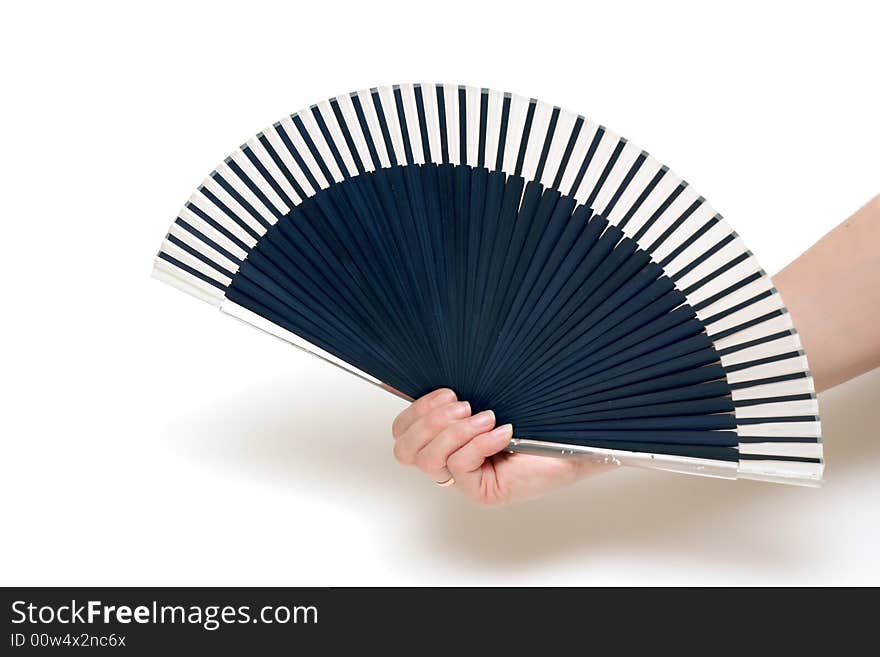 The fan