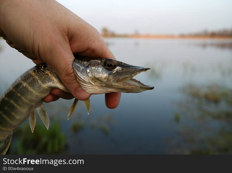 Fishing time...