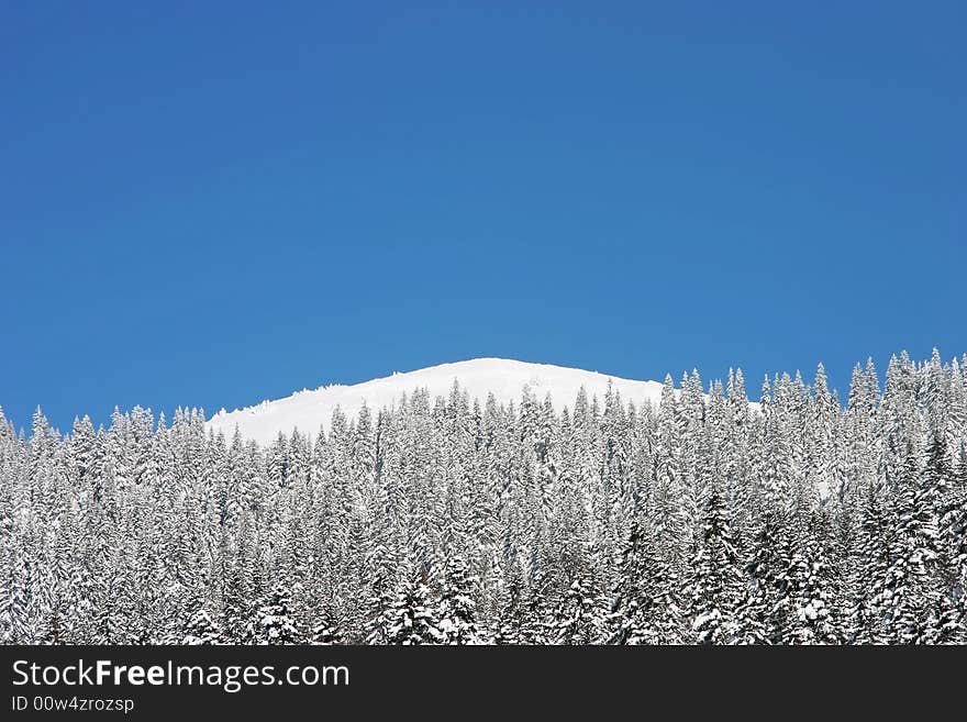 Winter Mountains