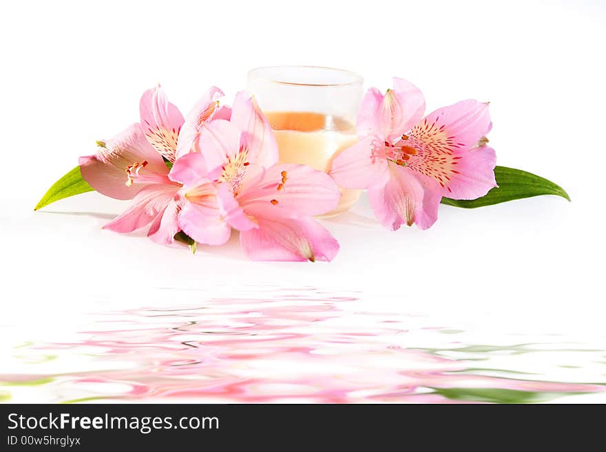 Candle and pink flowers isolated on white background