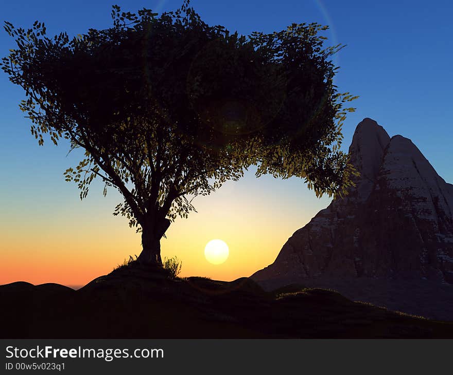 Tree on background of the sundown