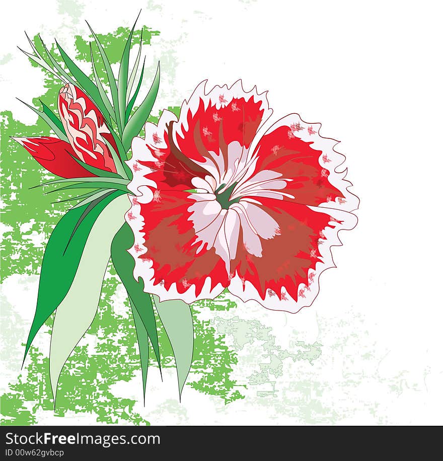 Beautiful realistic flower on grunge background. Beautiful realistic flower on grunge background