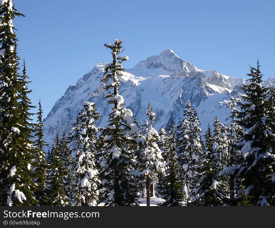 Mt Shuksan winter from the Mt Baker Ski Area. Mt Shuksan winter from the Mt Baker Ski Area.