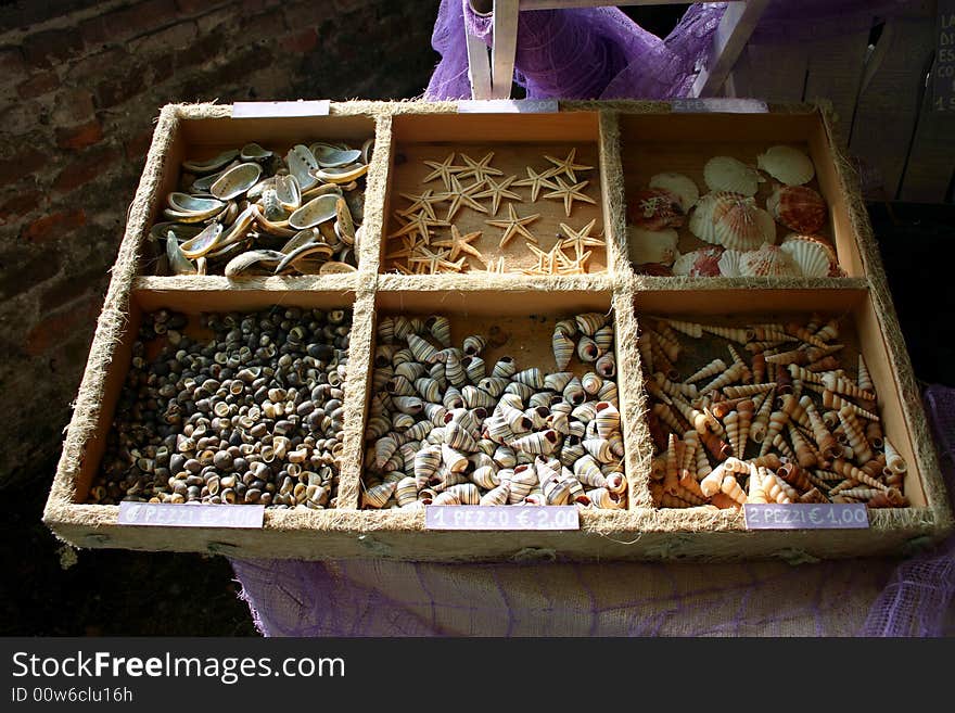 Tray with sea shells and starfish