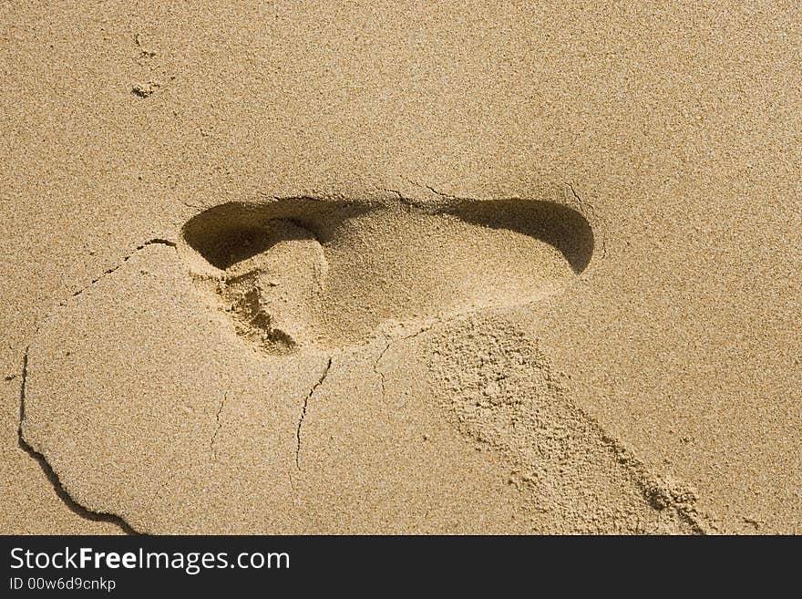 Footprint on sandy beach on summer day - Australia