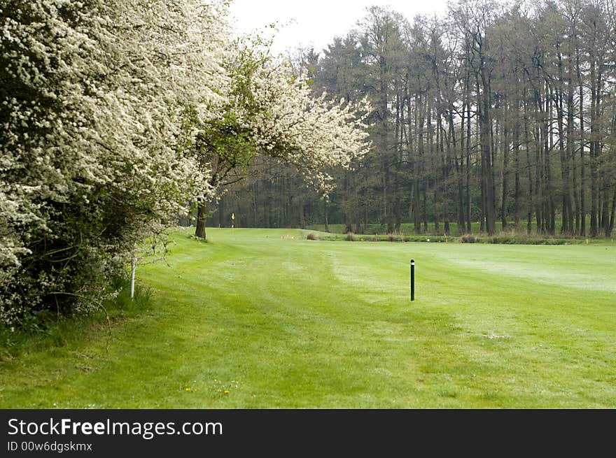 Golfing