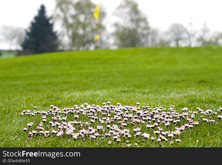 Golfing