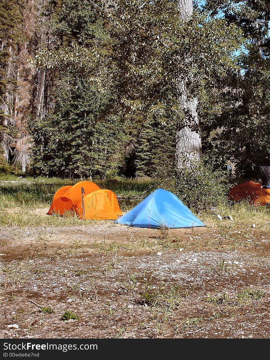 Camping tents on the beach near trees.