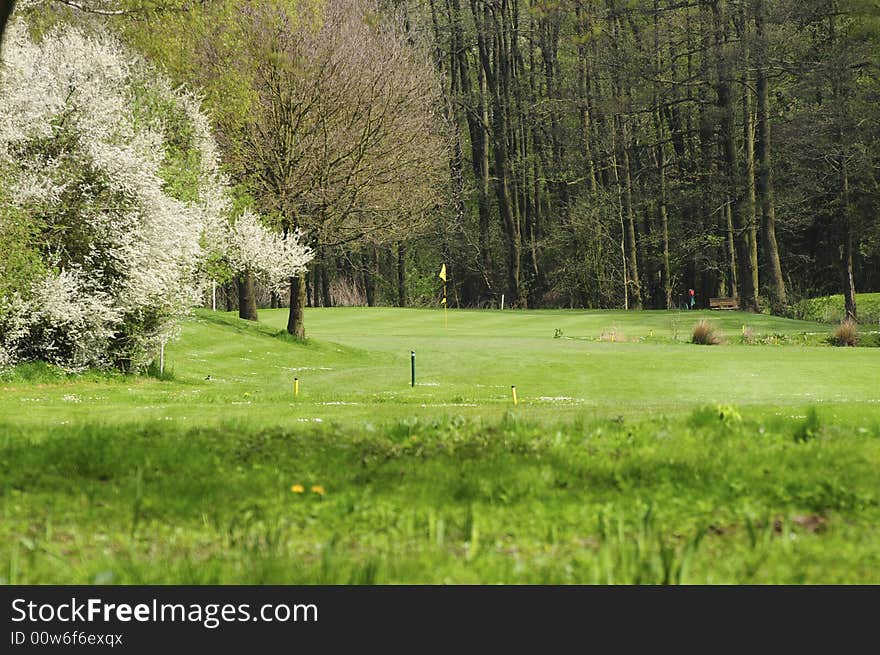 Very early on a golf course in spring. Very early on a golf course in spring