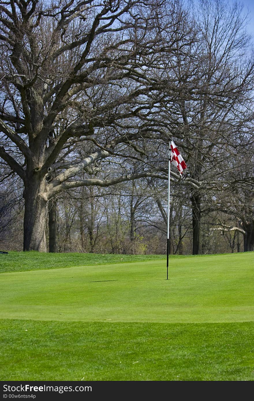 Golf Flag in a sunny day in Spring