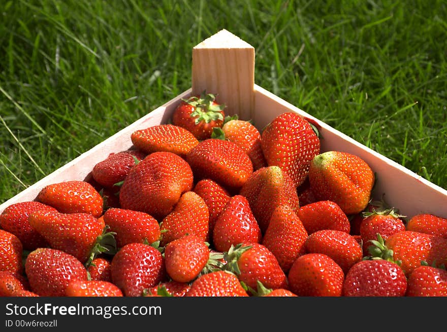 Fresh strawberry on the grass