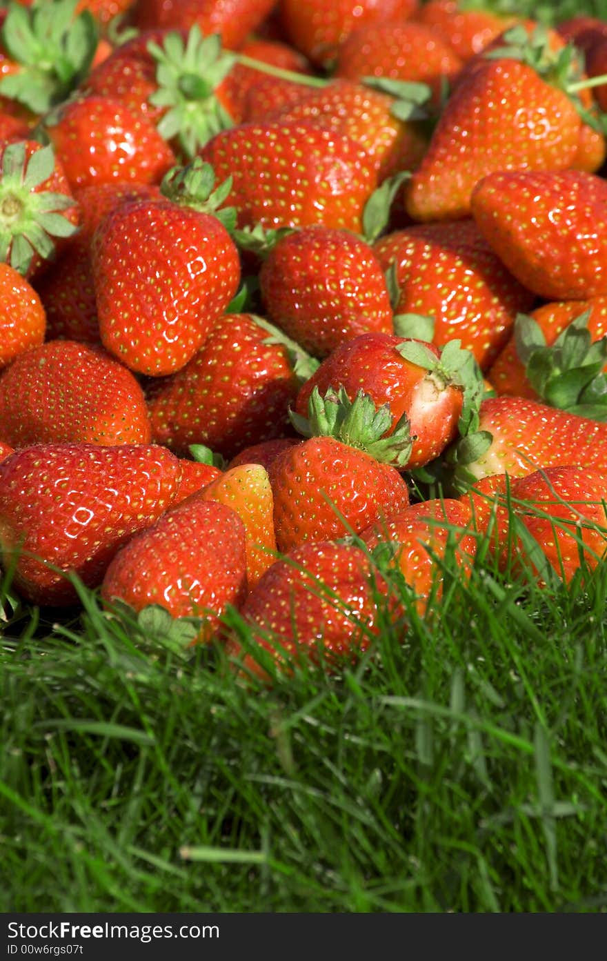 Fresh strawberry on the grass