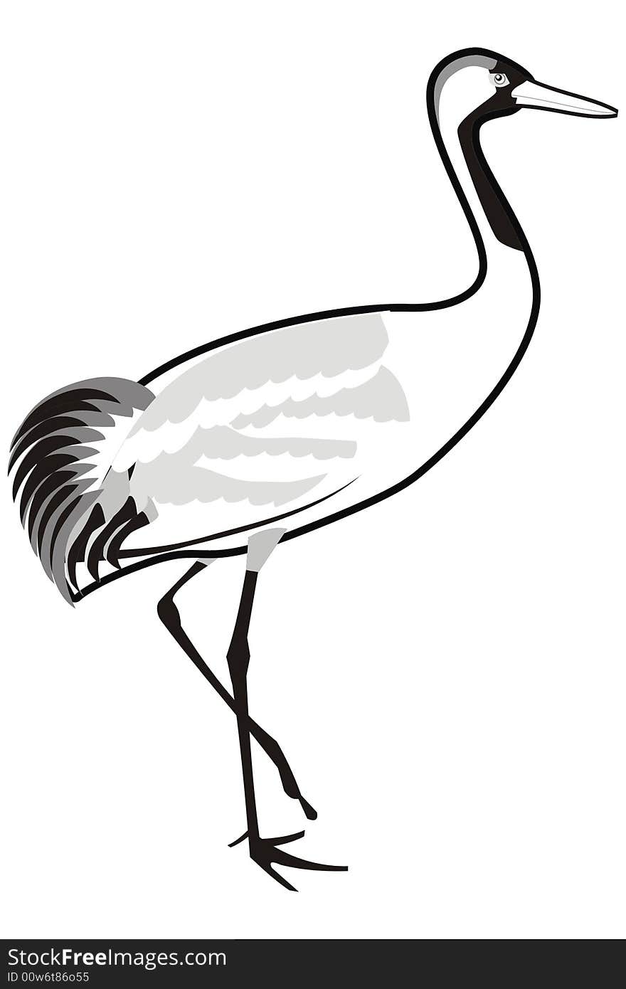 Art illustration of a bird named grus