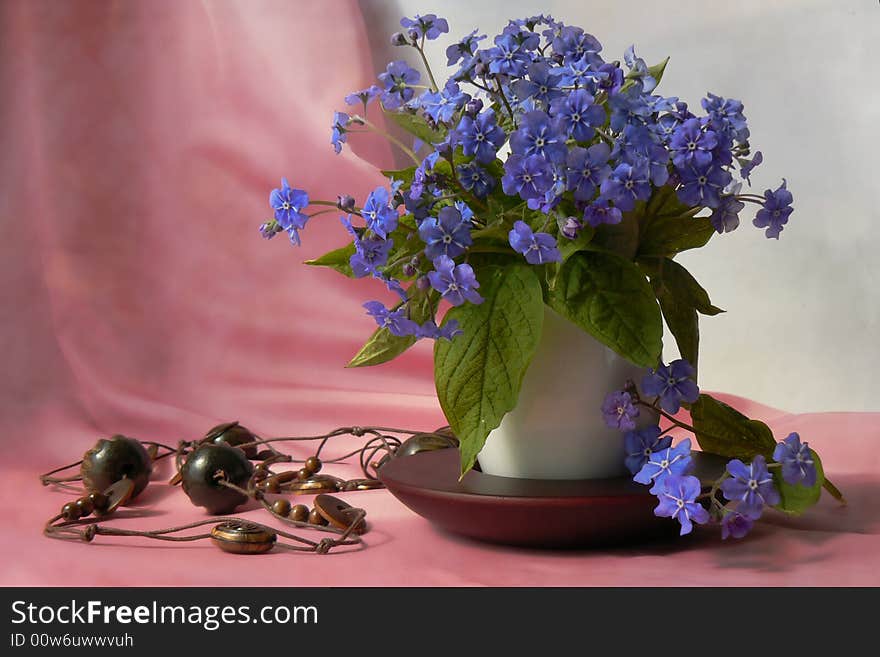 Still-life with spring blue flowers