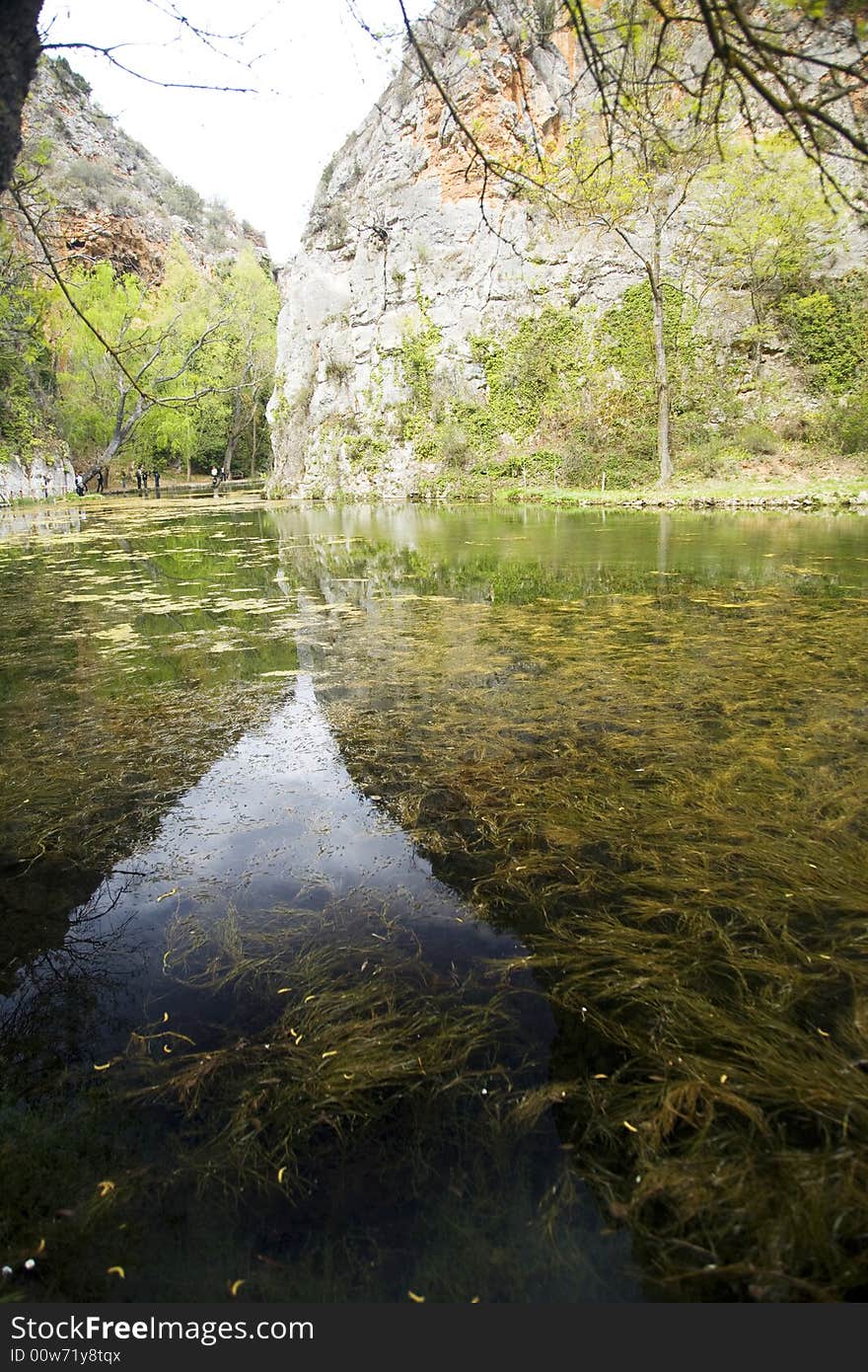 Lake with algas in saragossa aragon spain