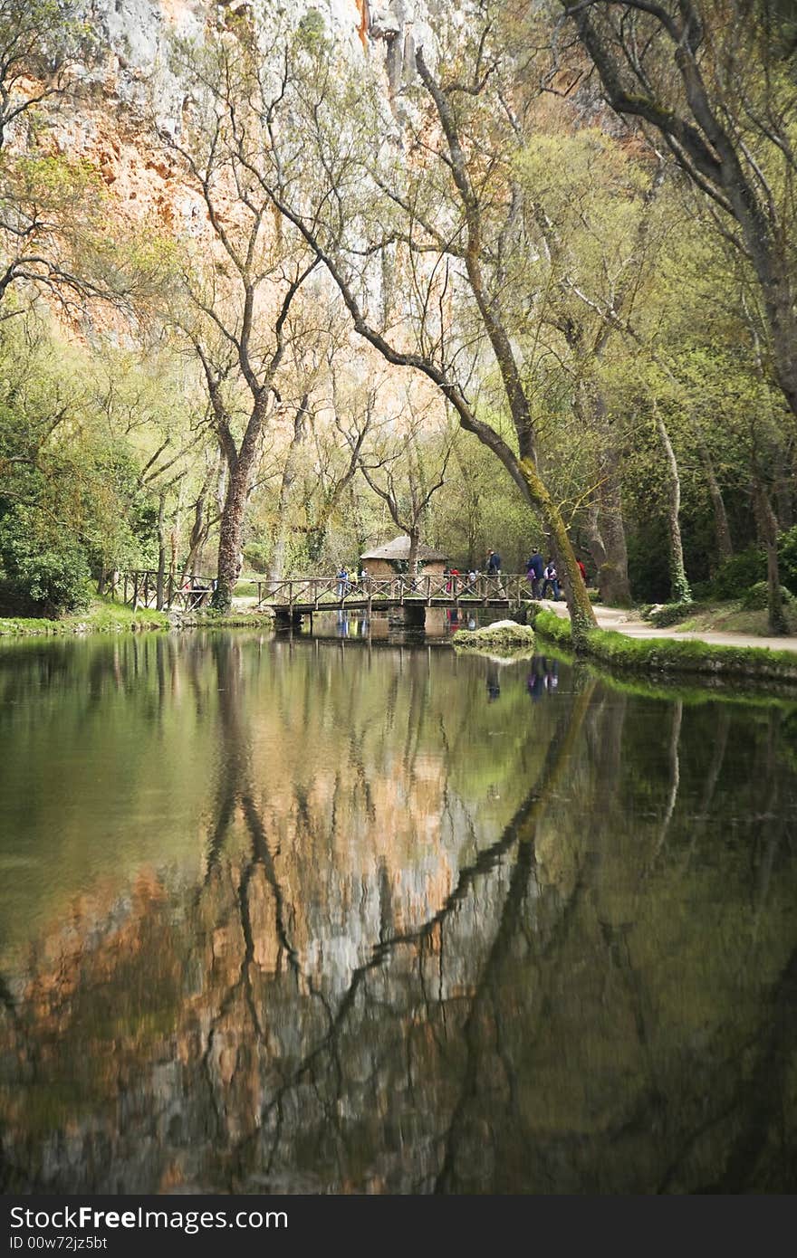 Reflected trees on a lake in saragossa aragon spain