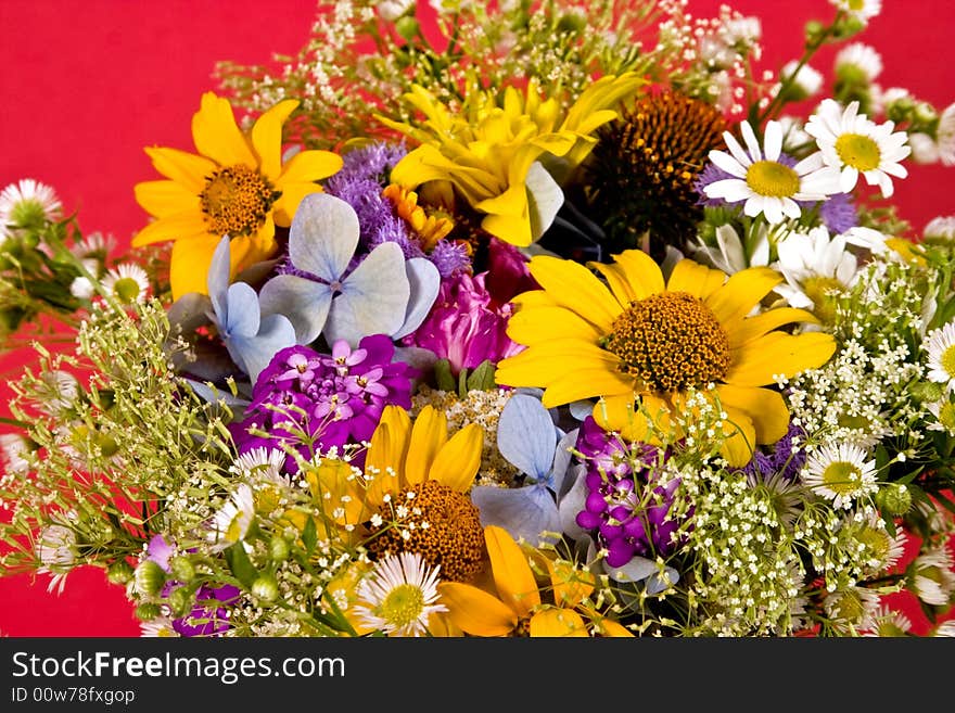 Bunch of various flowers on the red background. Bunch of various flowers on the red background