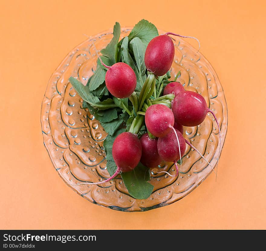 Radish On The Plant