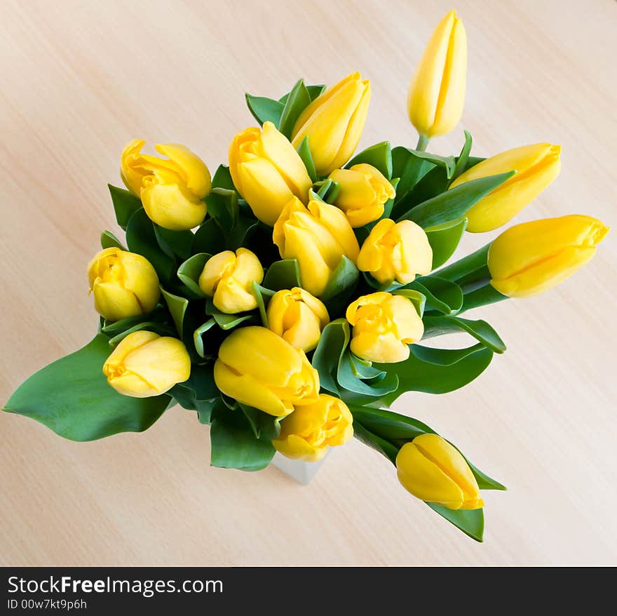 Bouquet of yellow tulips