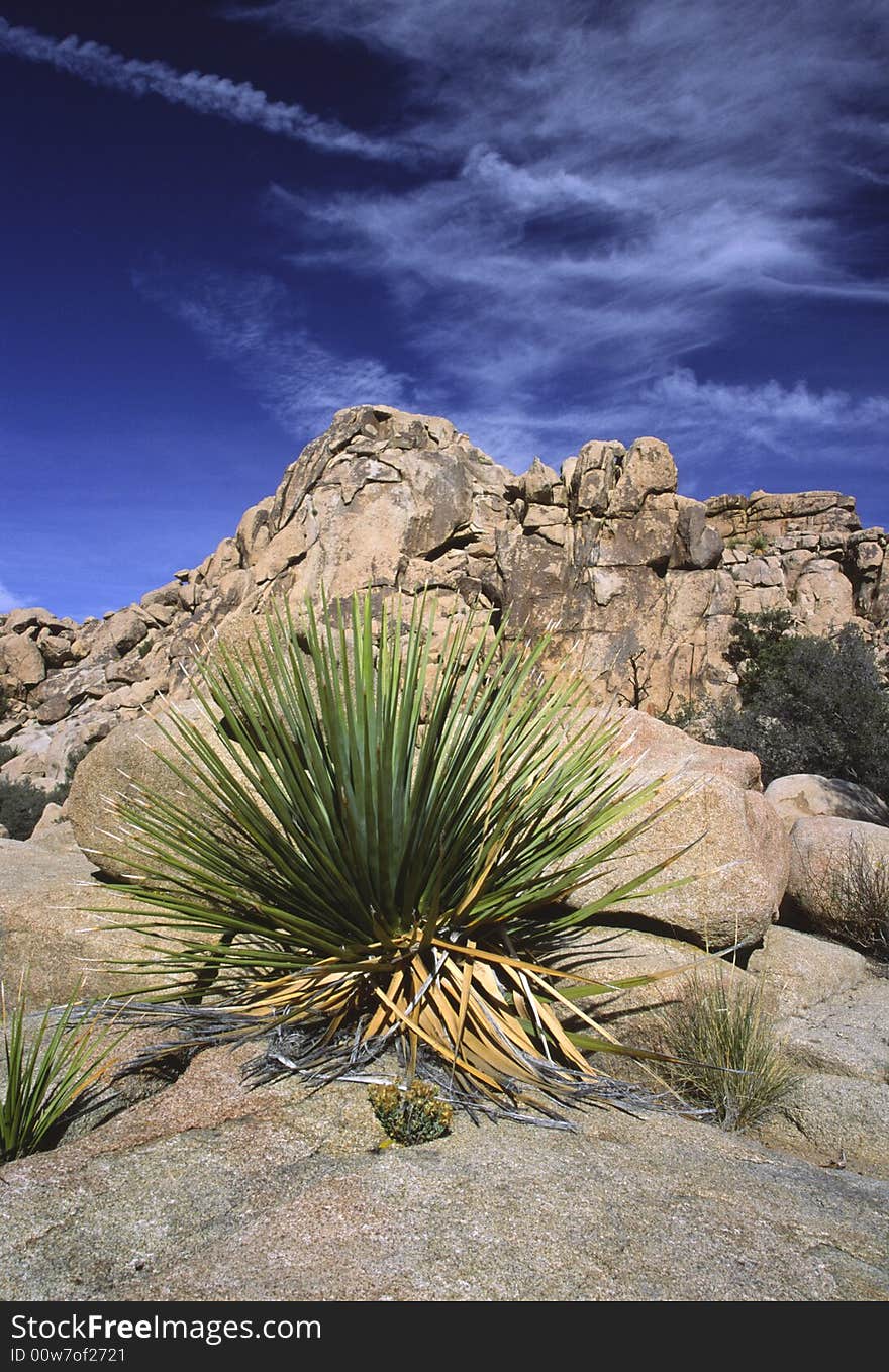 Hidden Valley in Joshua Tree National Park