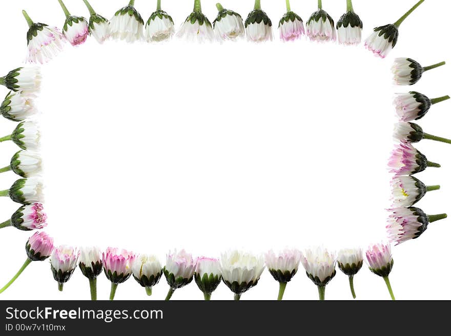 Floral frame with space for your text. Floral frame with space for your text