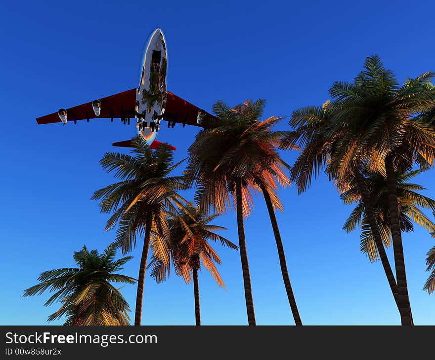 Plane And Wild Palms 3