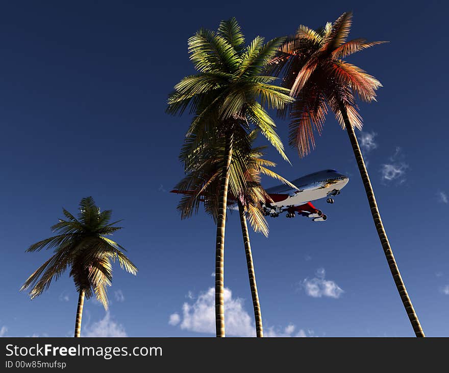 Plane And Wild Palms 2